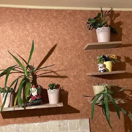 Seawave Black Sea Coast Apartman Konstanca