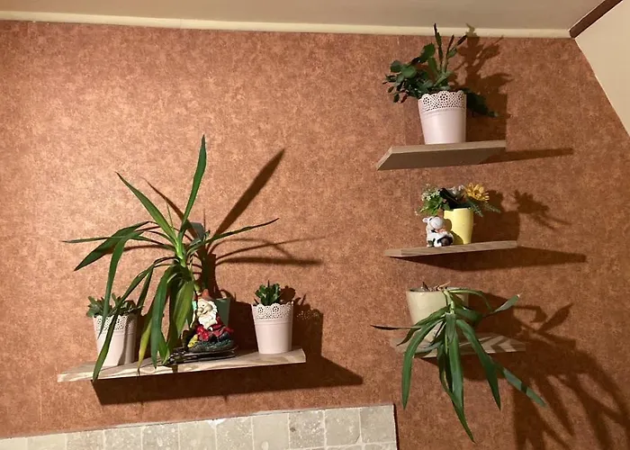 Seawave Black Sea Coast Apartman Konstanca